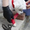 Pet First Aid Kit - Image 2